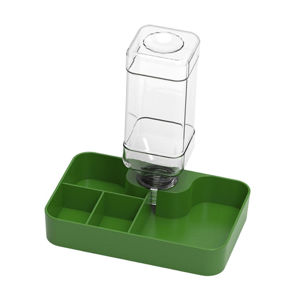 Reptile Feeder Amphibians Accessory Multi Compartments Automatic Water Dispenser for Chameleon Snake Gecko Turtle Tortoise