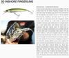 Yo Zuri Duel 3D Inshore Fingerling 100SP Suspend Lure R1410-PSCL (5556)