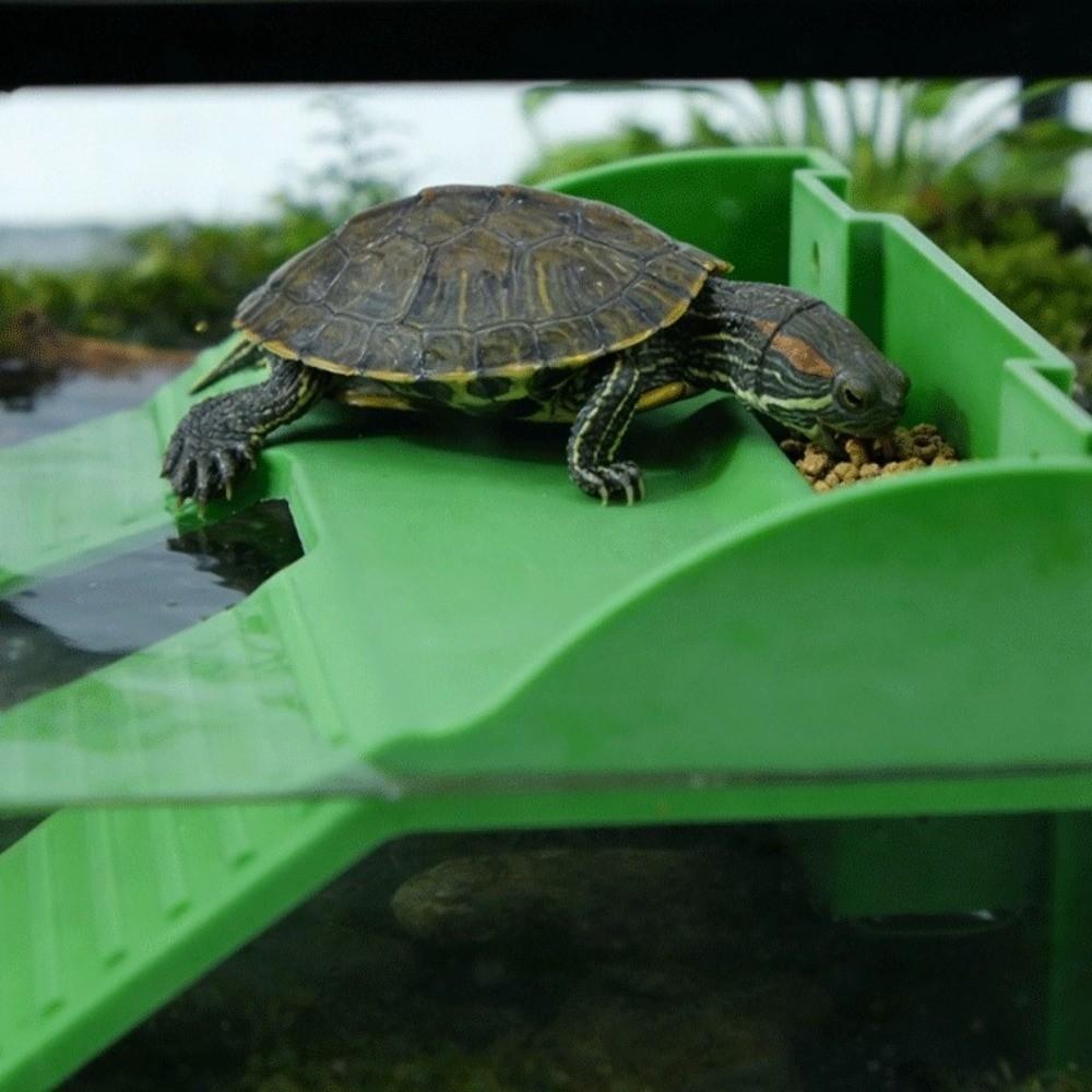 Double Ladder Turtle Basking Platform Plastic Feeding Platform  Aquatic Turtles