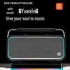 Beide BD-H0695 Portable Bluetooth Karaoke Speaker with Dual Microphones CN plug (adapter included)