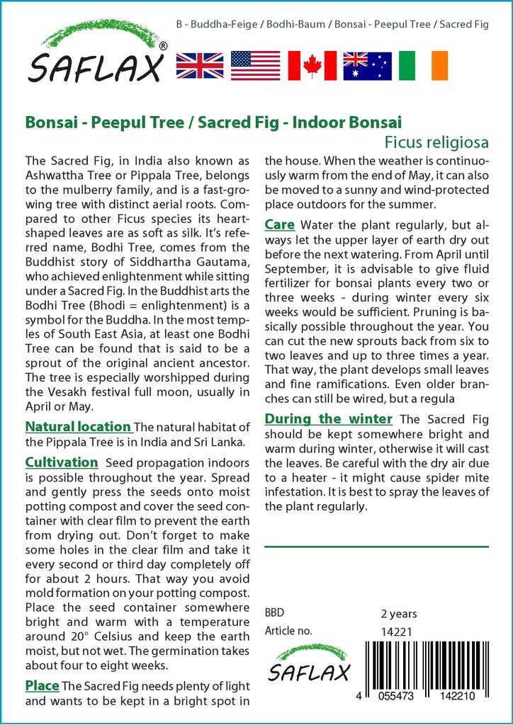 SAFLAX Garden in the Bag - Бонсай - Дерево Пипул / Священный инжир - 100 семян - С субстратом в подходящем пакете - Ficus religiosa