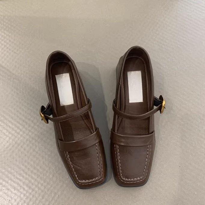 Vintage Mary Jane Shoes Women's Autumn 2024 French Temperament Elegant with Skirt Square Head Light Mouth Thick Heel Commuter Shoes