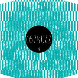 12-дюймовая пластинка ЦВЕТЫ МОРСКИЕ ОБИТАТЕЛИ A.M. 057BUZZ Buzzin Fly Rec 2011 UK Dance Electronica Б/у