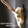 6PCS Mount Hanger, Deer Wall Hooker For Hanging Deer Head, Pronghorn And Other Smaller Animals,