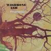 Виниловая пластинка WISHBONE ASH  Pilgrimage 510007 MCA Records 1971 Франция Рок Б/у