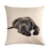 18 Inch Pillowcase Cute Dog Pattern Seat Sofa Bedroom Lumbar Cushion Cover Home Decoration Pillowcase