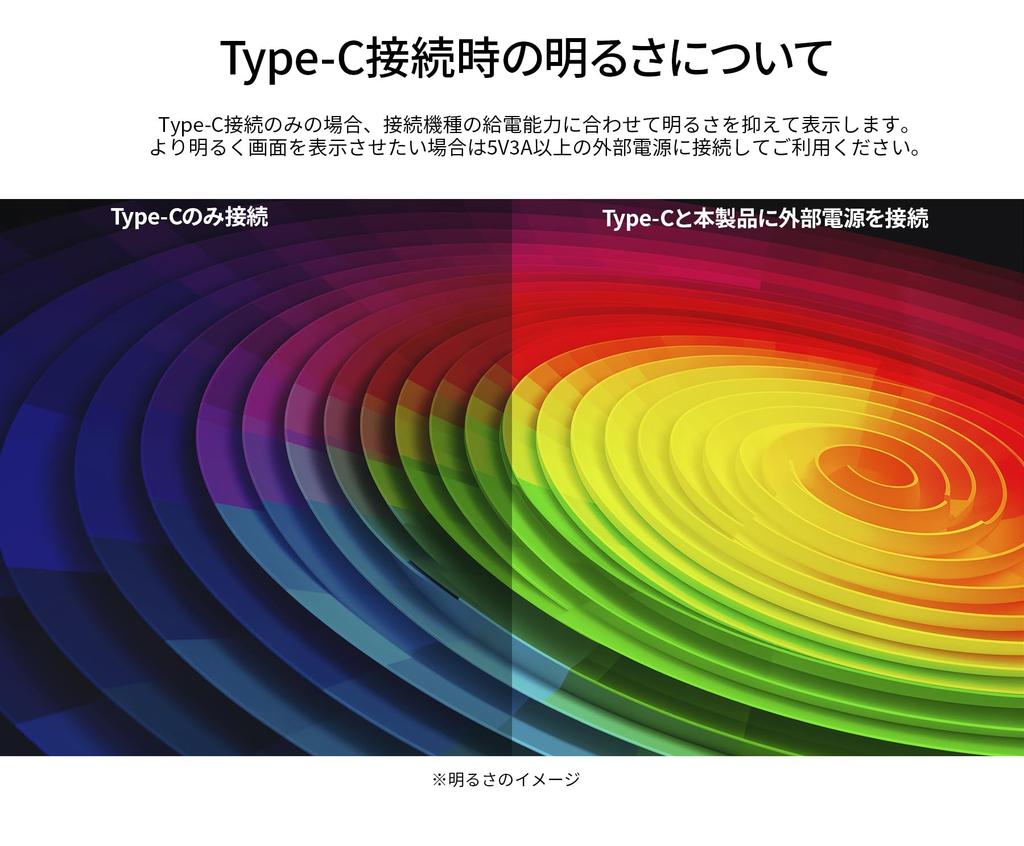 JAPANNEXT inch organic EL panel 4K resolution mobile monitor miniHDMI USB microUSB USB OTG compatible HDR touch panel smart case included 15.6 (OLED)