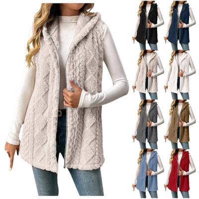 Женская модная однотонная безрукавка с капюшоном на молнии, повседневная плюшевая жилетка-куртка