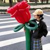 Букет из шаров Длинные шары для Дня Рождения, Предложения, Вечеринки или Декораций