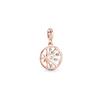 Серия Me Life Light Медаль 3D Подвеска с индивидуальностью Унисекс Подвеска 789676C01