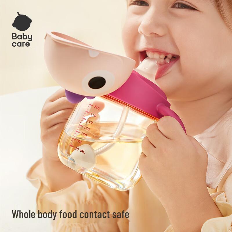 Babycare Dinosaur Anti-Choke Straw Sippy Cup