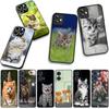 Забавный чехол для телефона с котенком для OPPO A54 A40 A60 A80 A18 A16 A17 A38 A78 A79 A57 A55 A96 A15 A12