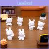 Adorable Resin Bear And Bunny Figurines Miniature Desk Car Decoration Cute Rabbit And Bear Ornaments