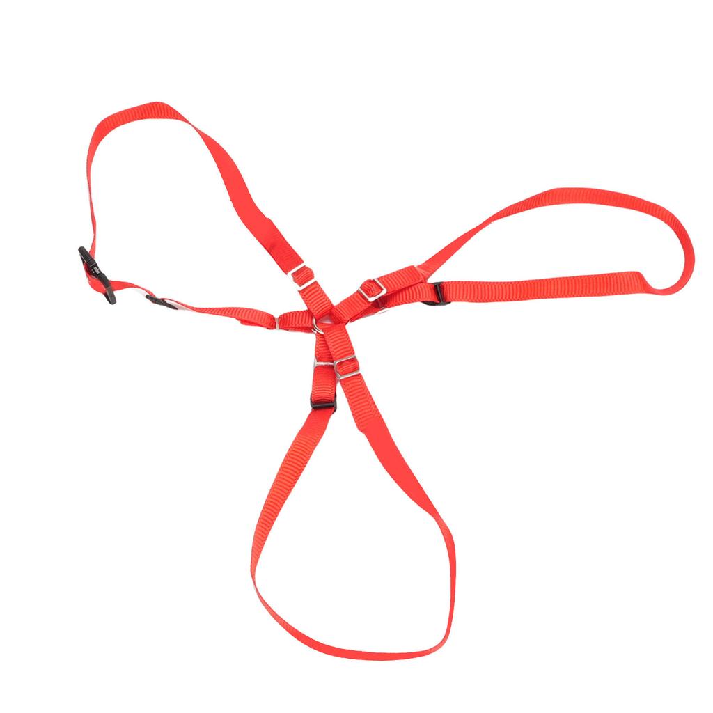 Spare Tire Strap Kit Fit for TRAXXAS UDR 1 10 RC Cars Nylon Spare Tire Fixed Y Strap with Hooks Red