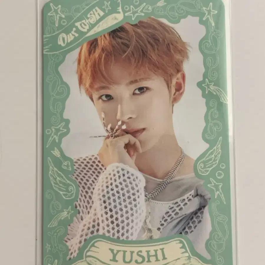 quick sale NCT Wish U Moocy photocard season's greetings S Teddy Wish Color Our Wish