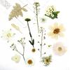 15pcs Dried Flower Natural Flower Stickers Dry Beauty Decal For DIY Plants Art Craft Floral Decors Making Accessories