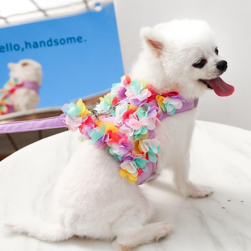 Регулируемая шлейка для домашних животных с поводком для маленьких собак и кошек, снаряжение для прогулок, для породы Той-терьер, Бишон-фризе