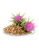 Milk Thistle Seed For A Strong Liver 1Kg