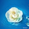 Head & Shoulders Освежающий шампунь с микро-эссенцией для ухода и восстановления