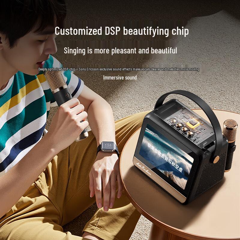 KTV Караоке Микрофон Динамик Soaiy GC520Pro