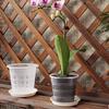 Kinds Plants For Home Decoration Office Decor Flowerpot Stomata Flowerpot Plant Container Meshpot
