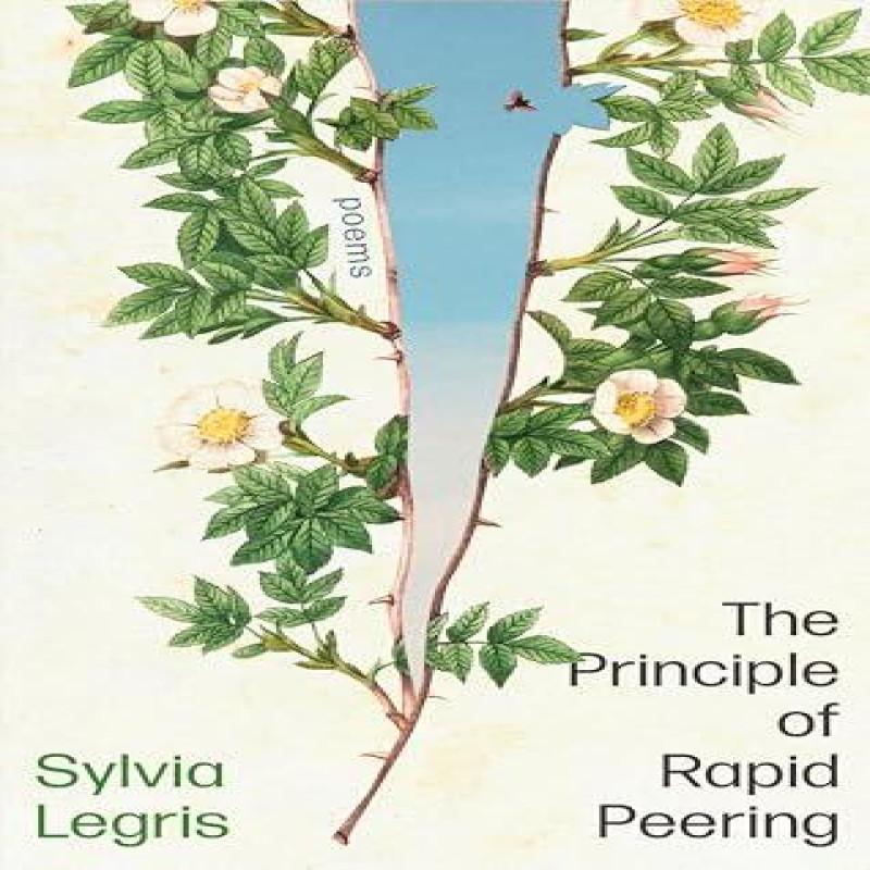 The Principle of Rapid Peering by Sylvia Legris Paperback Book 9781472158864