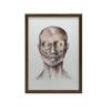 Mięśnie Mimiczne Twarzy - Widok Od Przodu (Norma Frontalis) - Plakat Anatomiczny Mięśnie Mimiczne Twarzy - Widok Od Przodu (Norma Frontalis) - Plakat
