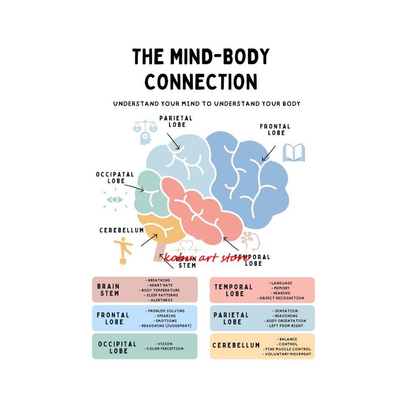 The Human Nervous System Human Brain Anatomy Brain Function Poster Print Wall Art Canvas Painting for Therapy Office Decor