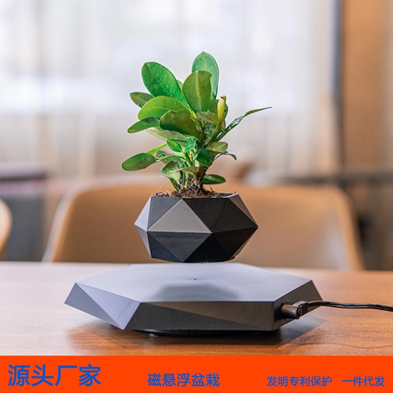 Magnetic Levitation Air Bonsai: Unique Floating Plant Pot for Home or Office