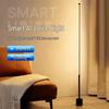 oeny RGB Remote Floor Lamp