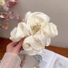 Korean Style Pleated Cloud Crab Claw Hair Clip Mesh Flower Bud Hair Clip Shark Clip Women Accessories