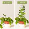 Reusable Plant Climbing Support Frame Durable Flowerpot Bracket Climbing Vine Frame  Flower Pillar
