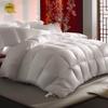 Shangxin SXZT-01 Mulberry Silk Quilt