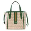 Lanvin Коллекция Сумка Feria 2-в-1 61-6303 Светло-коричневыйЗеленый