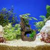 Decorative Aquarium Artificial Plants Simulation Underwater Grass Sunken Wood  Landscaping