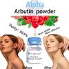 Alpha Arbutin Powder Whitening Powder Brightening Skin Anti-aging Serum Powder Skin Care