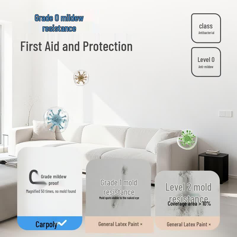 Carpoly Wall Repair Spray Paint
