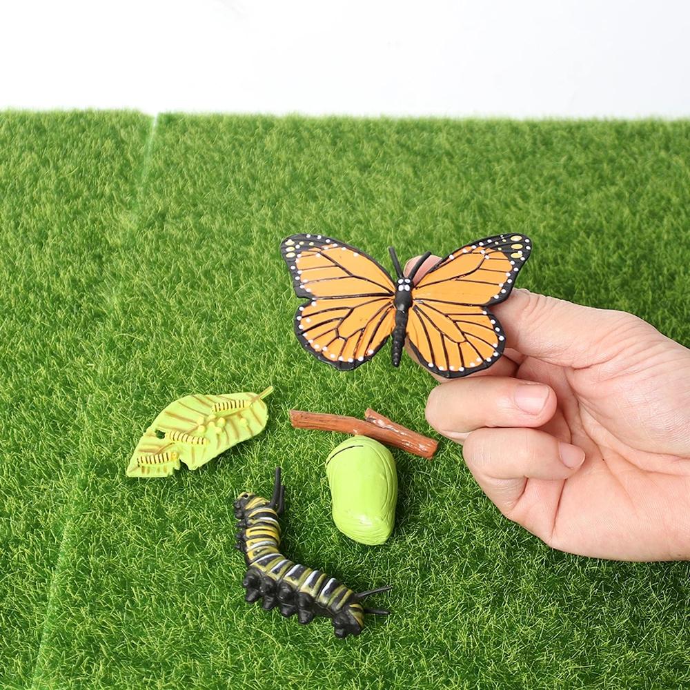 Cycle Insect Animals Simulation Animals Life Cycle Figurine Action Figures Growth Cycle Model