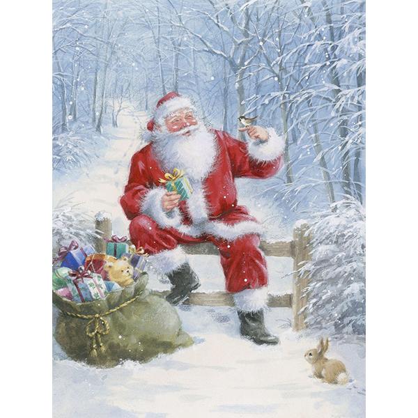 DIY алмазная живопись Санта-Клаус Алмазная вышивка Рождественский зимний пейзаж вышивка крестиком набор мозаики со стразами Рождественский подарок