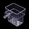 Hydroponic Planting Cup Household Water Grass Planting Cup Wall Mounted High Transparent Fish Tank Landscape Decoration