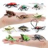 Realistic Pvc Insect Model Set Including Rhinoceros Beetle And Dragonfly For Decoration