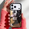 Boston Terrier Dog Faces Phone Case for iPhone 17 16 15 14 13 Pro Max Back Cover for 12 11 Pro Coque