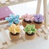 Hook Woven Dolls Finished Products Succulent Woven Flower Bouquets Knitted DIY Material Covers Beginner Sunflower Weaving Self-made