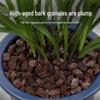 Special Fermented Pine Bark Substrate for Clivia, Phalaenopsis, and Dendrobium Orchids, New Zealand Bark for Top Dressing