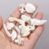 10Pcs Natural Shell Pendant Mother Of Pearl Small Pendant For Jewelry Making DIY Necklace Earrings Accessory