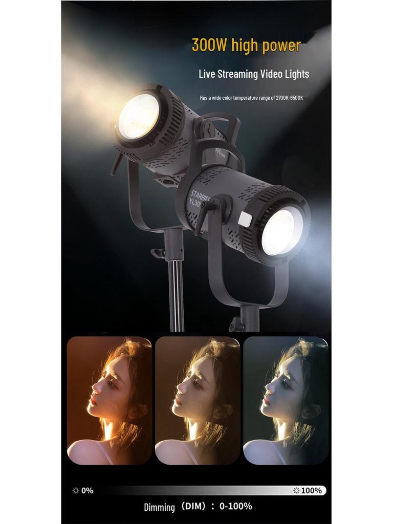 300W LED Adjustable Photography Light for Studio & Live Streaming