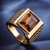 Masculine Brown 5A Zircon Diamonds Gemstones Rings for Men 18k Gold Filled Titanium Steel Jewelry Trendy Finger Bands