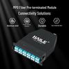 HAILE 24-жильный оптоволоконный модуль OM3 MPO на LC для многомодовых сетей 10G