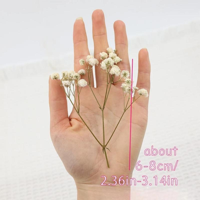 50 шт. Сушеные цветы Дыхание букет Звездное небо Ароматерапия Украшение Праздничное украшение Ваза D Маленькая упаковка Украшение Подарок