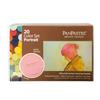 Holbein Pan Pastel 20 Color Set Portrait 318-323